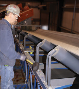 Identifying and addressing conveyor idler issues